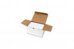 Frankieretiketten doppelt, 500 Blatt 132 x 45 mm